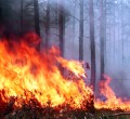 В Кушве, Красноуральске и Верхней Туре опасная ситуация с пожарами