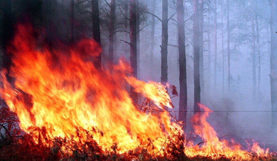В Кушве, Красноуральске и Верхней Туре опасная ситуация с пожарами