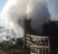 Пожар в деревне Кедровка, погиб человек