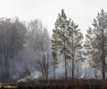В Свердловской области начался противопожарный сезон. Указ губернатора
