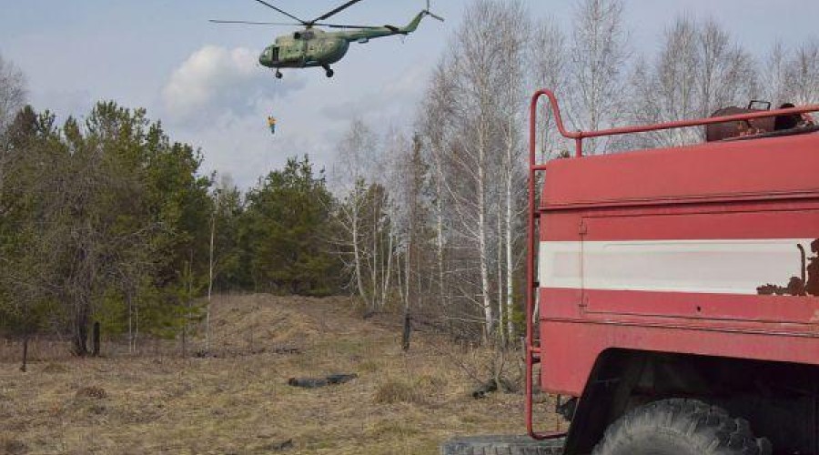 За сутки в Свердловской области потушили девять природных пожаров