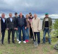 В память о героях Великой Отечественной войны в Кушве высажена аллея сосен