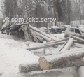 На Серовском тракте груженый лесом КАМАЗ завалил бревнами машины рыбаков