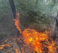 В Кушве для тушения лесных пожаров привлекают волонтеров