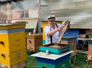 Кушвинский пчеловод проводит экскурсии по своей пасеке