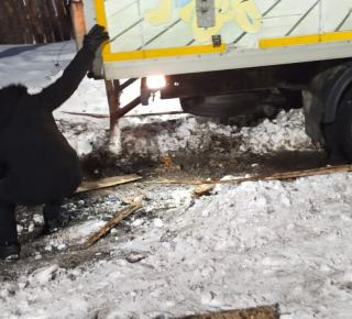 Осужденный помог выбраться грузовику из снежной ловушки