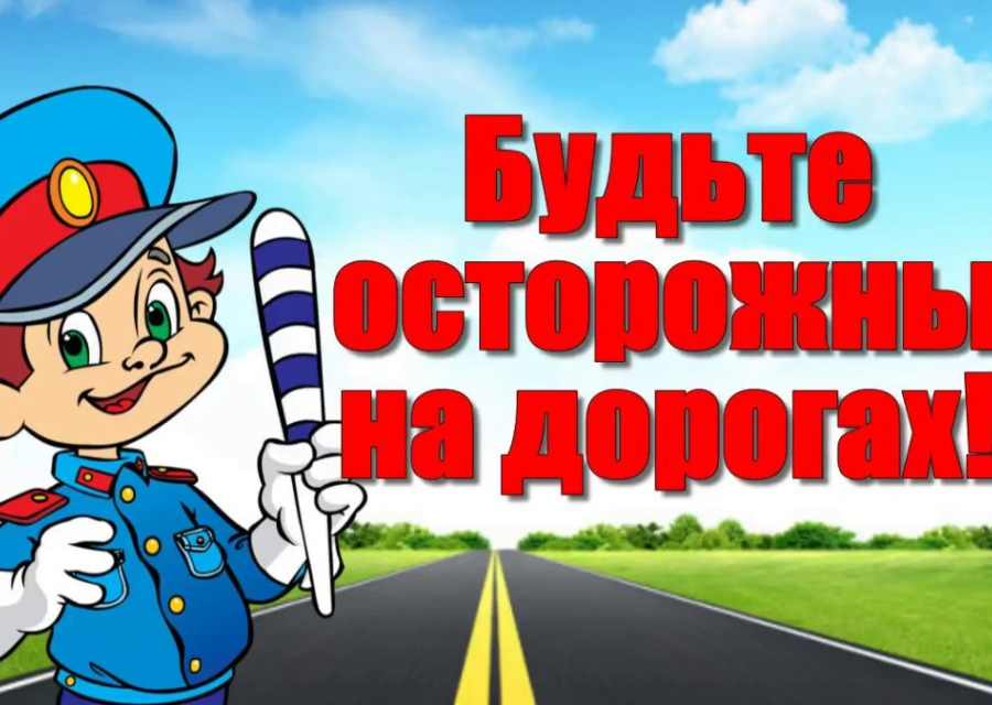Как избежать опасных ситуаций на дороге: реальные кейсы