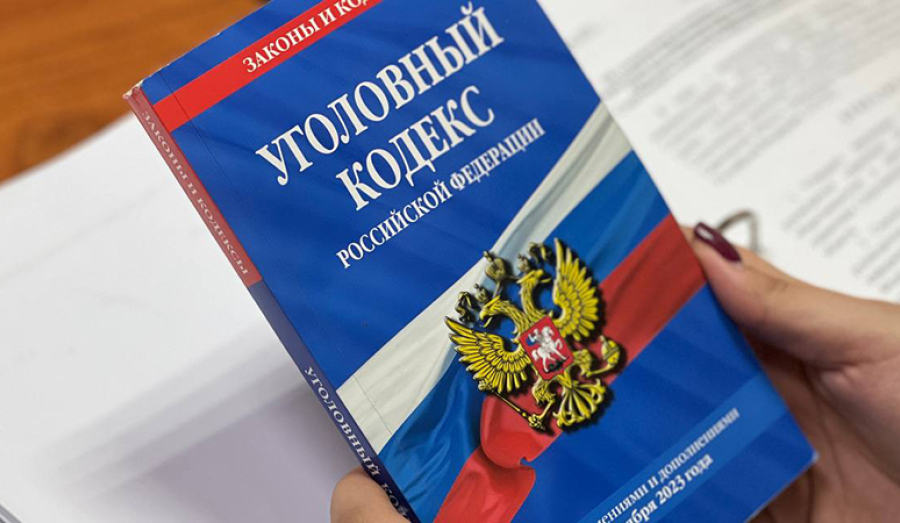 Госдума снизила до 14 лет возраст уголовной ответственности за диверсии