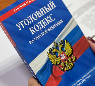 Госдума снизила до 14 лет возраст уголовной ответственности за диверсии