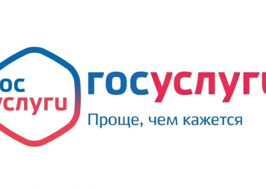 Сведения об оказании государственных услуг