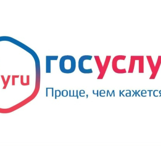 Сведения об оказании государственных услуг