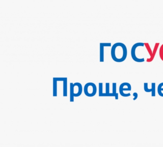 Сведения об оказании государственных услуг в РЭО ОГИБДД