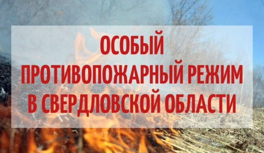 В Свердловской области с 25 апреля начнет действовать особый противопожарный режим 