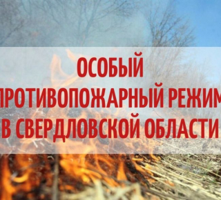 В Свердловской области с 25 апреля начнет действовать особый противопожарный режим 