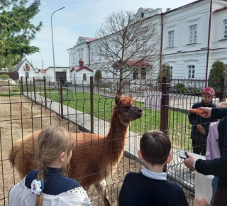 Первоклассное путешествие из Новой Ляли в Верхтурье