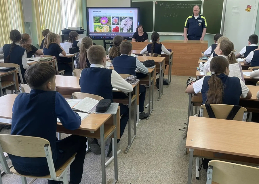 Безопасность дорожного движения