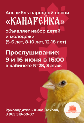 Прослушивание в ансамбль народной песни «Канарейка»