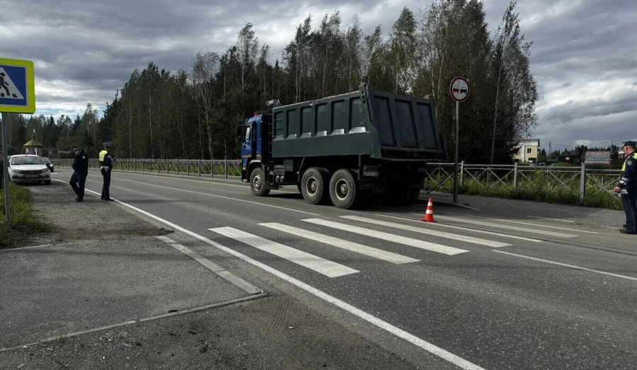 Под Верхотурьем грузовик сбил 8-летнего мальчика на пешеходном переходе