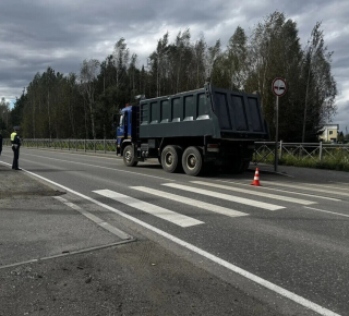 Под Верхотурьем грузовик сбил 8-летнего мальчика на пешеходном переходе