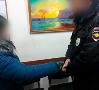 Жительнице Кушвы дали условный срок за попытку отбить пьяного сына у полицейских