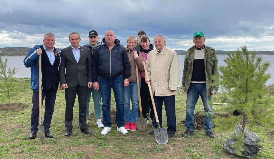 В память о героях Великой Отечественной войны в Кушве высажена аллея сосен
