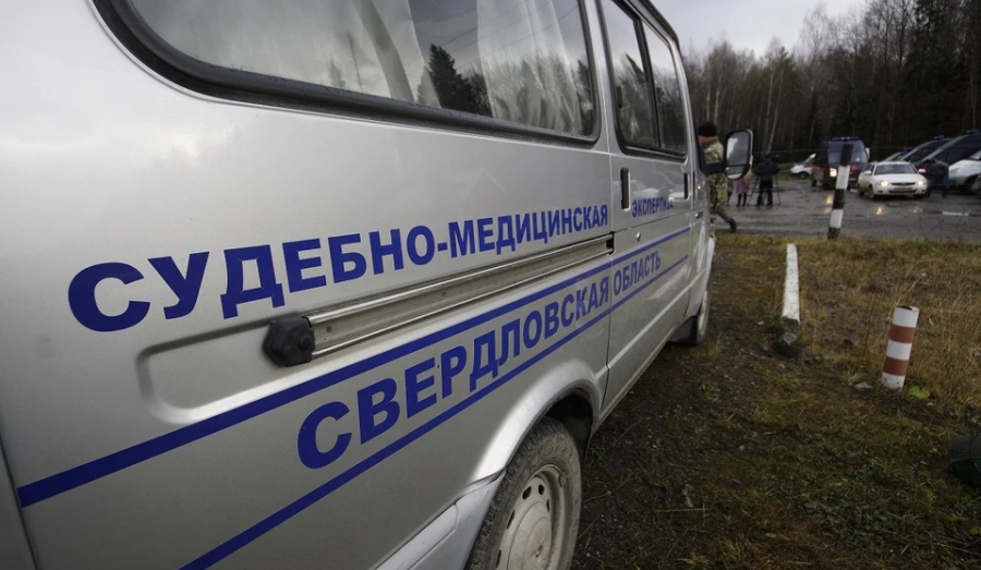 В Кушве годовалая девочка утонула в искусственном пруду