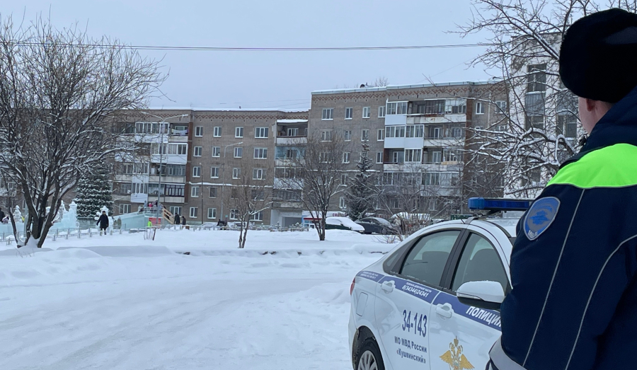 Кушвинские инспекторы ДПС вышли на дороги