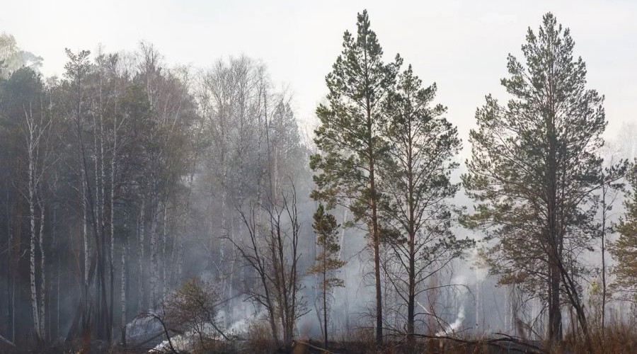 В Свердловской области начался противопожарный сезон. Указ губернатора